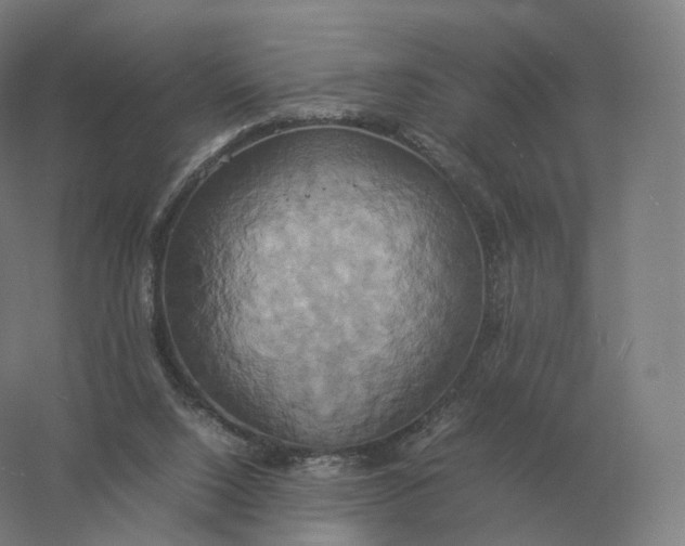 X0000057040064200510010025