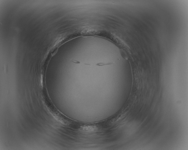 X0000057040067200510010025