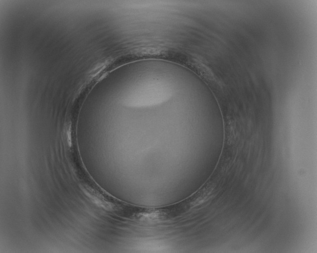 X0000057040068200510010025