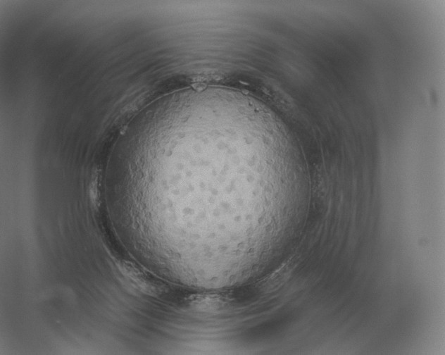 X0000057040074200510010025