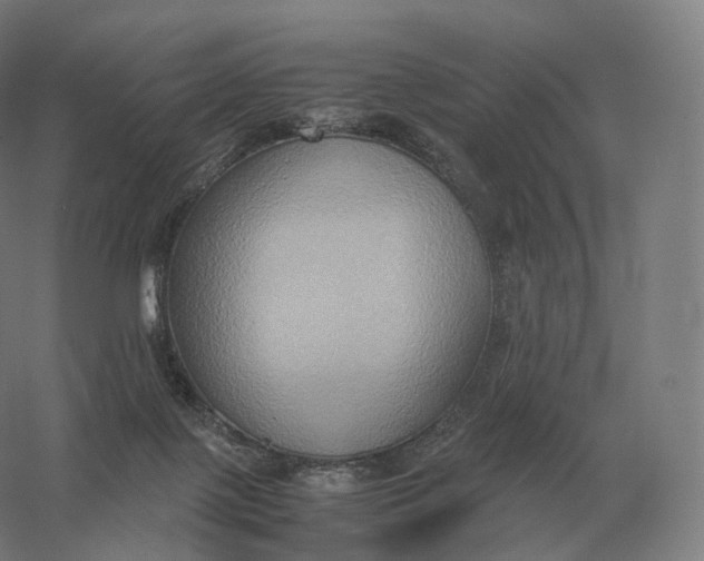X0000057040075200510010025