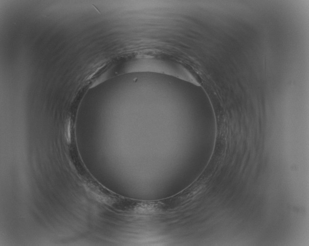 X0000057040076200510010025
