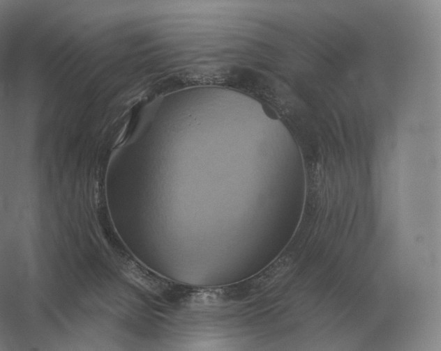 X0000057040080200510010025