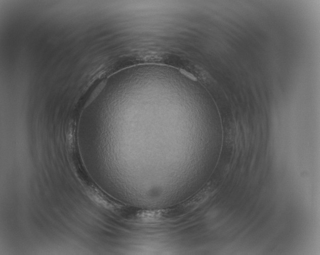 X0000057040084200510010025