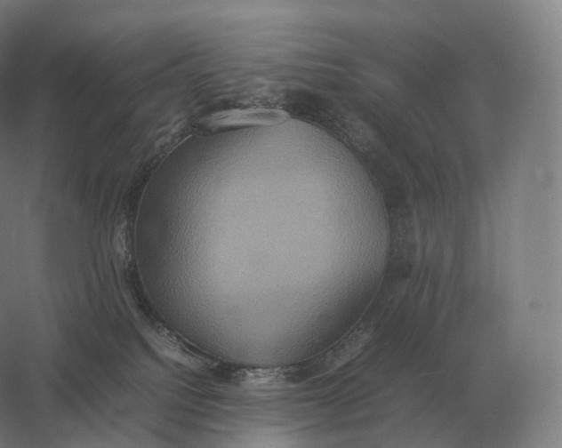 X0000057040088200510010026
