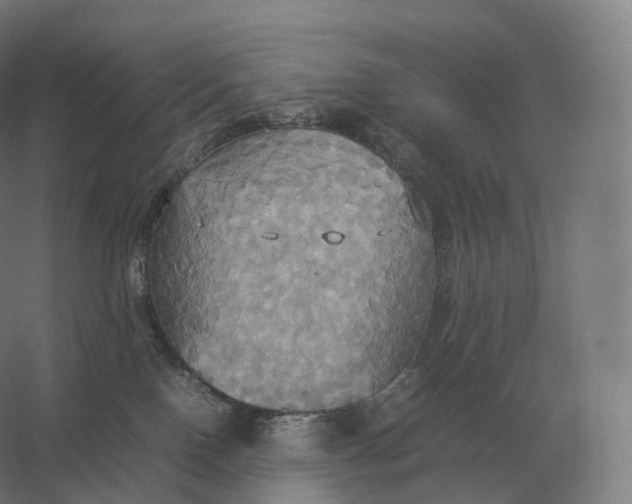 X0000057040090200510010026