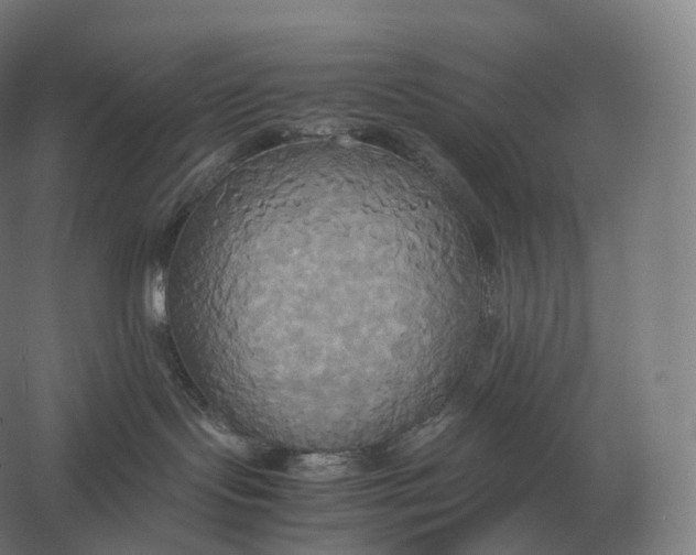 X0000057040095200510010026