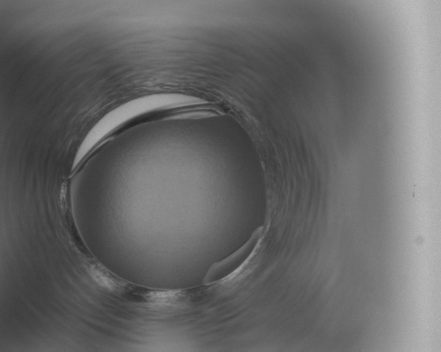 X0000057040192200510010024