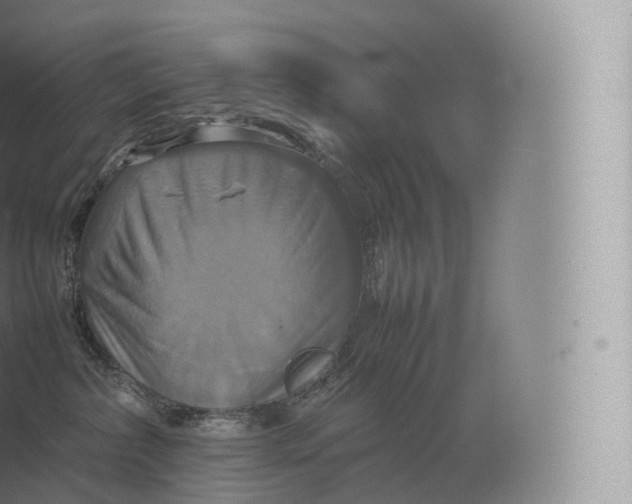 X0000057040236200510010022