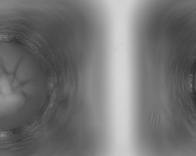 X0000057040663200510010016