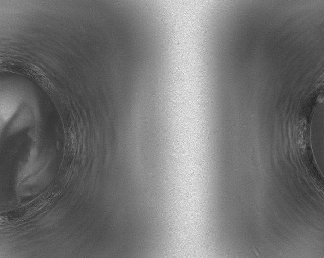 X0000057040711200510010014