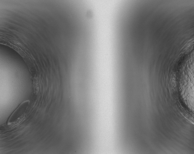 X0000057040760200510010014
