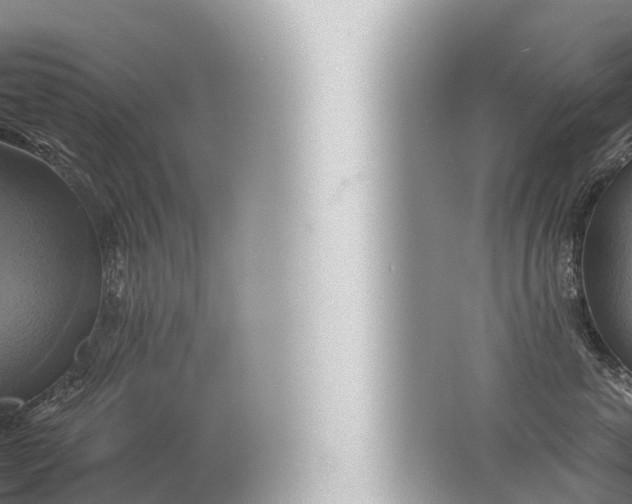 X0000057040763200510010014