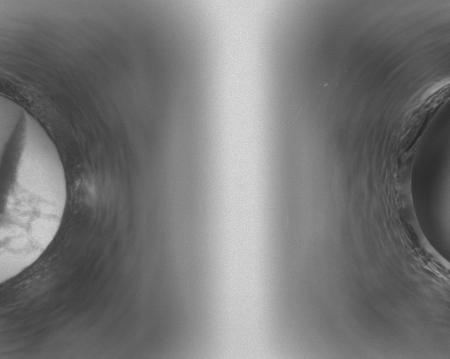 X0000057040772200510010013