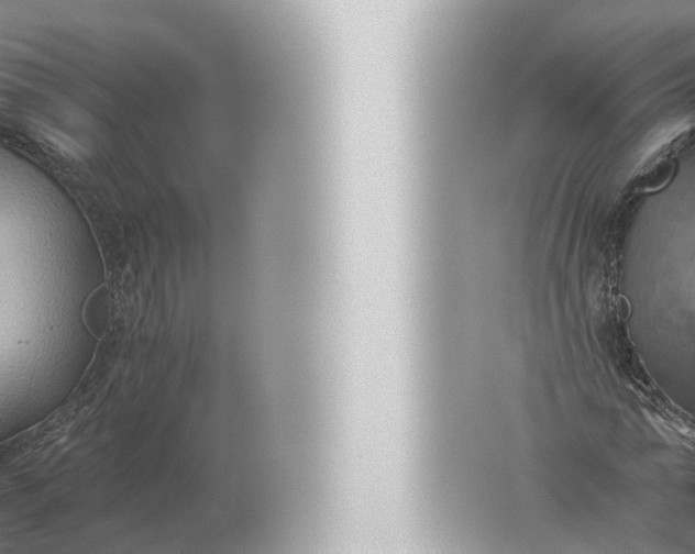 X0000057040774200510010013