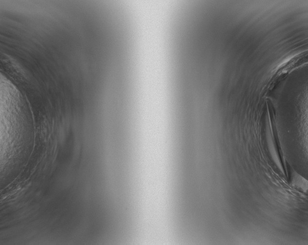 X0000057040821200510010012