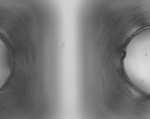 X0000057040872200510010012