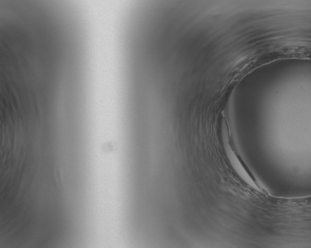 X0000057041012200510010008