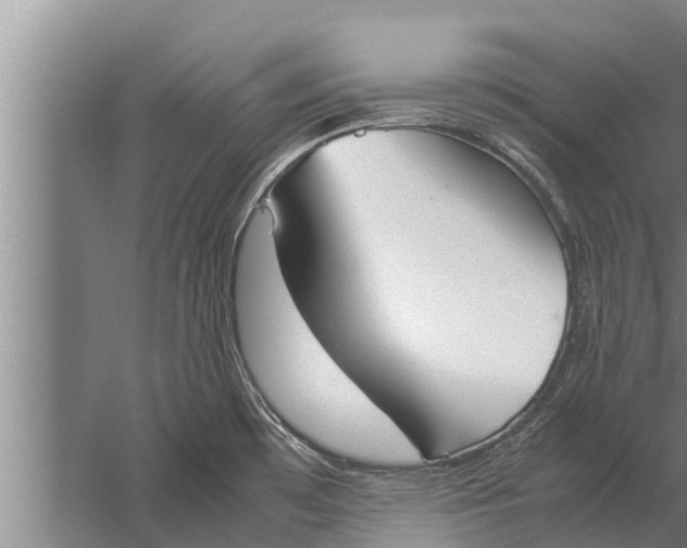 X0000057041480200510010001