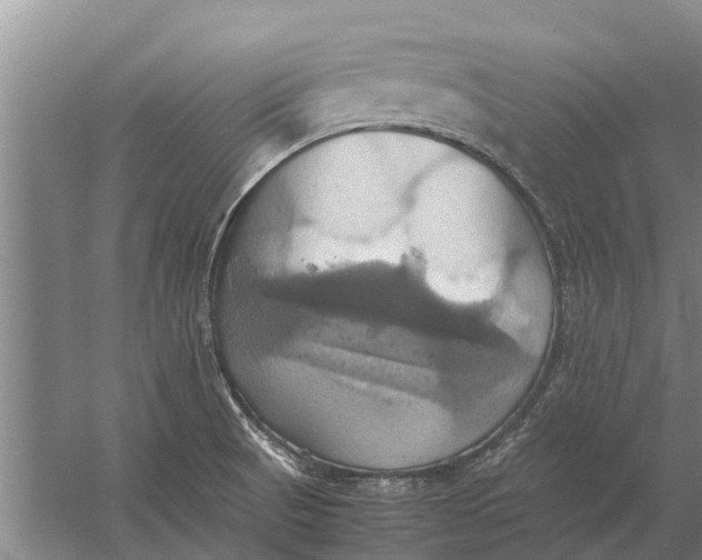 X0000057041520200510010001