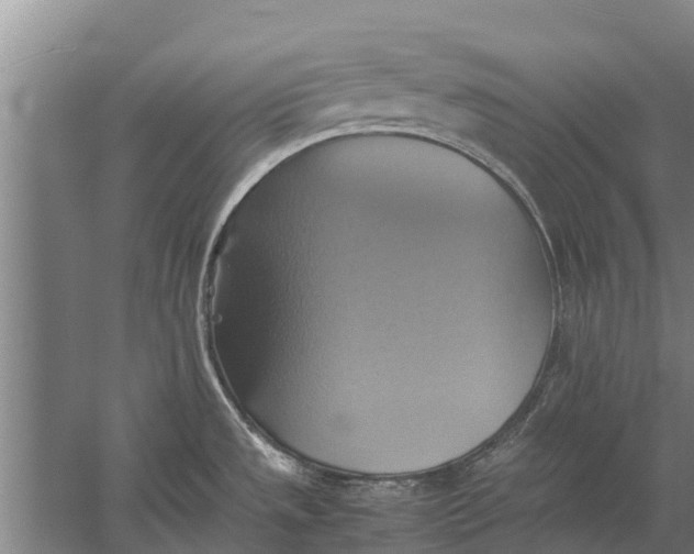 X0000057041532200510010001