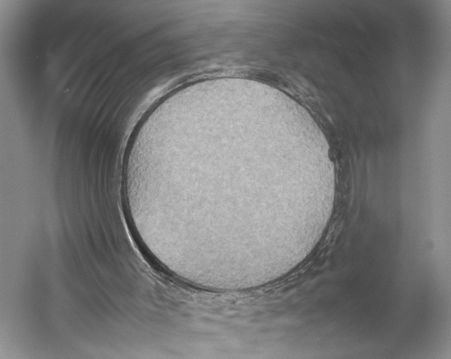 X0000057040003200510071418