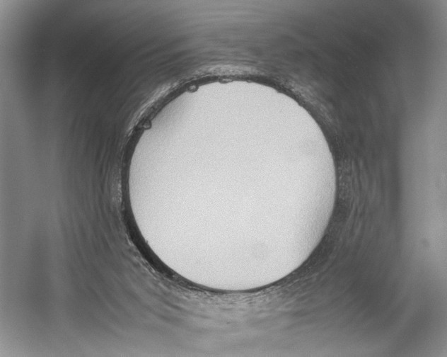 X0000057040015200510071418