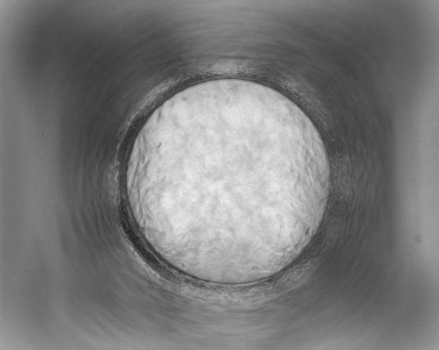 X0000057040016200510071418