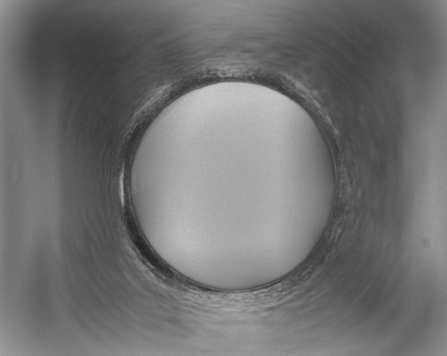 X0000057040019200510071417