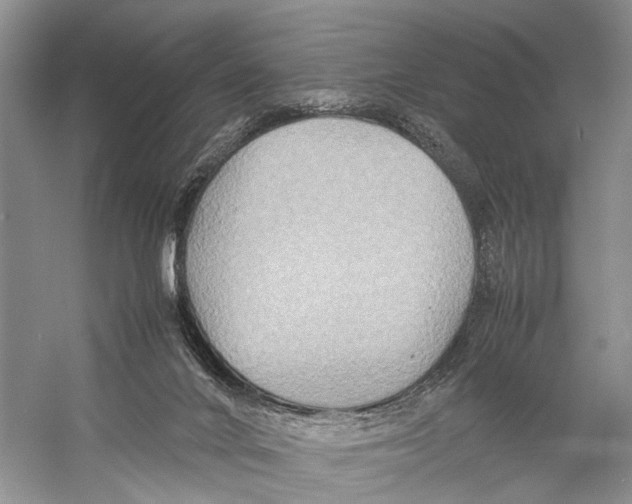 X0000057040024200510071417