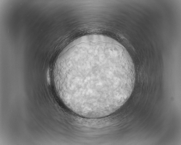 X0000057040026200510071417
