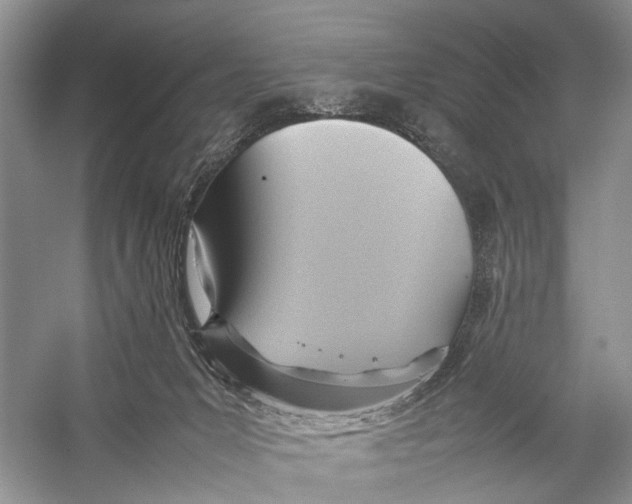 X0000057040031200510071417