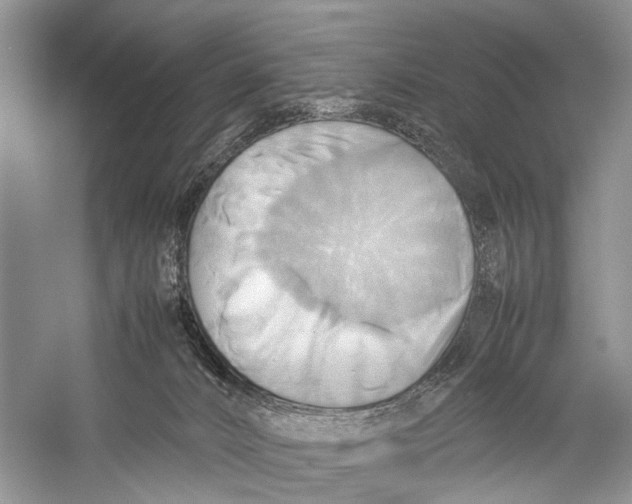 X0000057040032200510071417