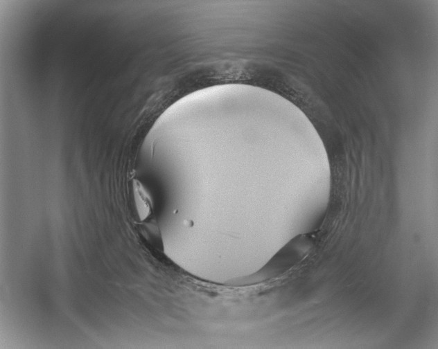 X0000057040035200510071417