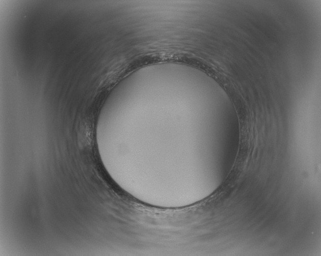 X0000057040039200510071417