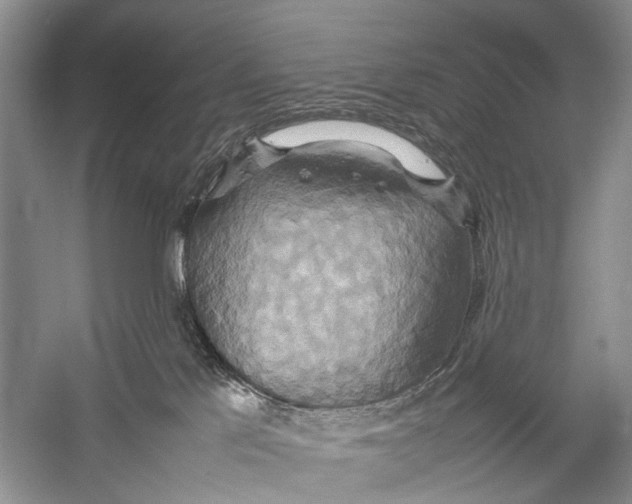 X0000057040041200510071417