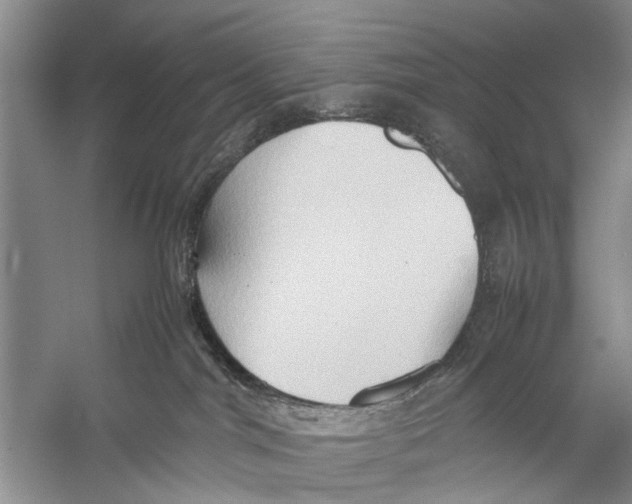 X0000057040044200510071417