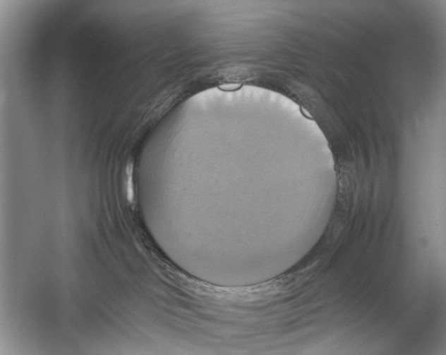 X0000057040046200510071417