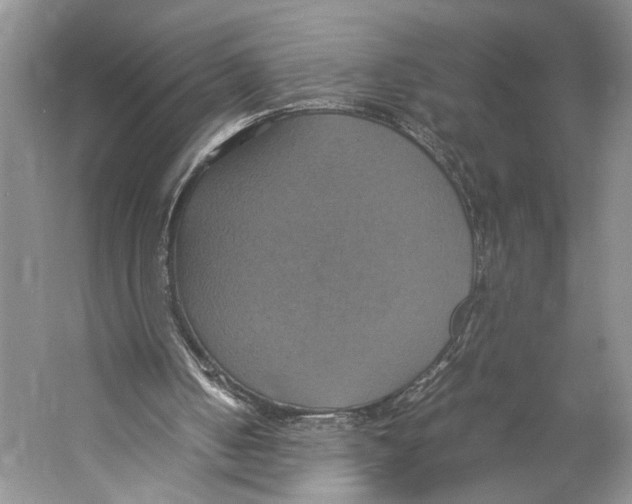 X0000057040050200510071416