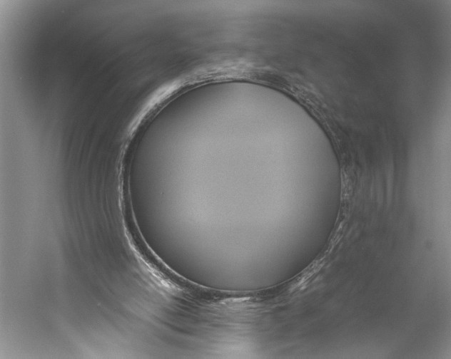 X0000057040054200510071416