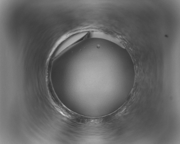 X0000057040056200510071416