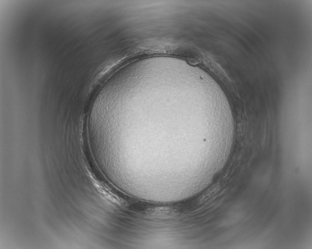 X0000057040058200510071416