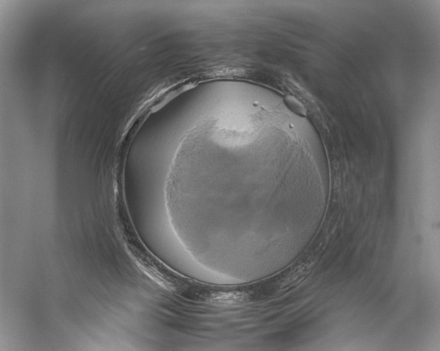 X0000057040059200510071416