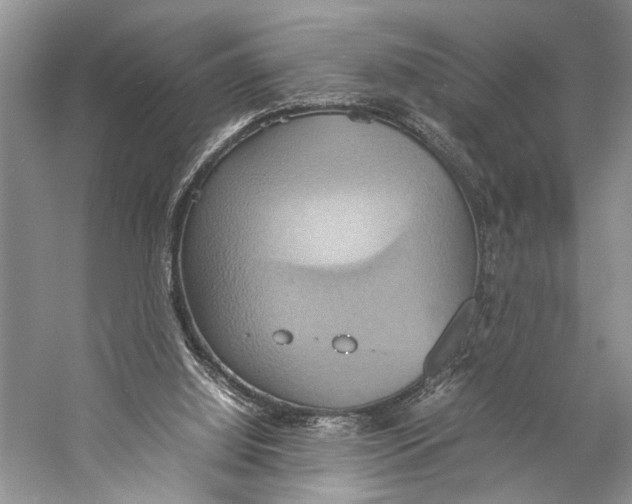 X0000057040060200510071416