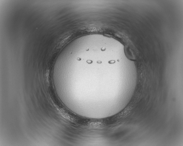X0000057040066200510071416