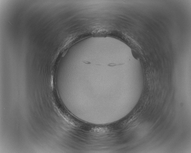 X0000057040067200510071416