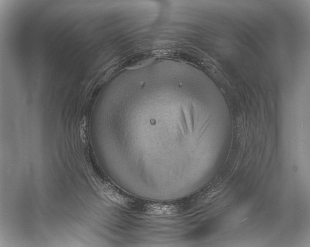 X0000057040073200510071416