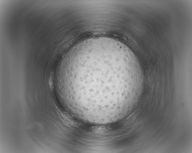 X0000057040074200510071416