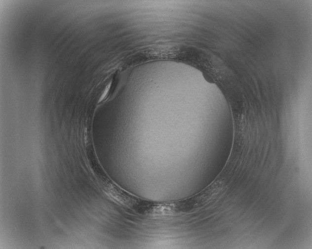 X0000057040080200510071416