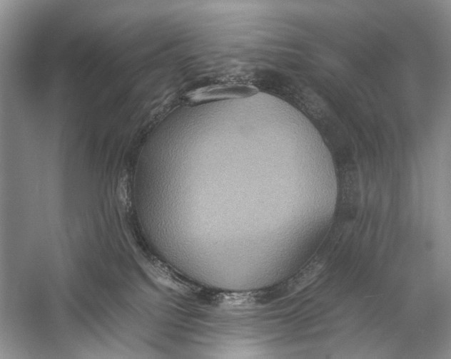 X0000057040088200510071417